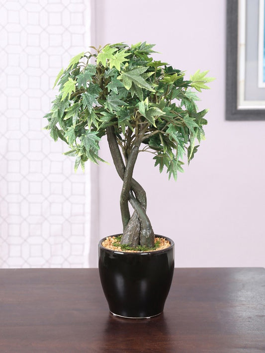 ARTIFICIAL 39 CM TALL CLASSIC ARTIFICIAL JAPANESE MAPLE PLANT IN A GLOSSY CERAMIC POT