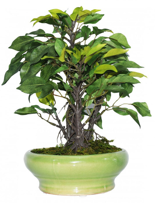 ARTIFICIAL FICUS BONSAI PLANT IN A CERAMIC VASE FOR HOME AND OFFICE DECOR (29 CM TALL, DARK GREEN)
