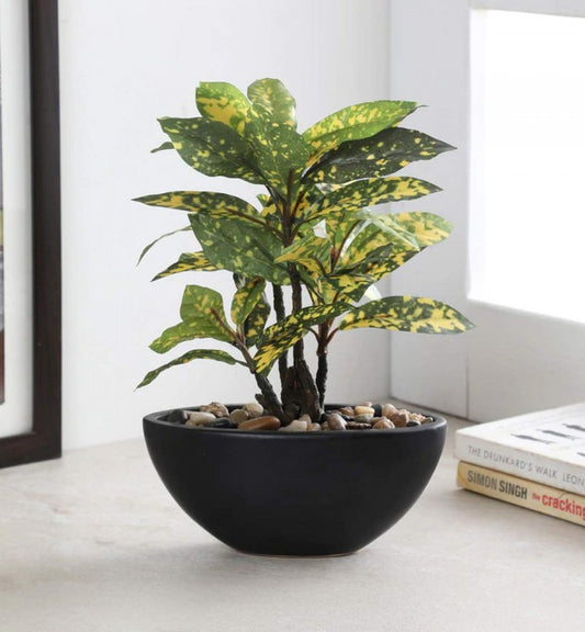 ARTIFICIAL NATURAL LOOKING CROTON BONSAI PLANT IN A CERAMIC POT FOR HOME OFFICE DECOR (29 CM TALL, 45 LEAVES, GREEN/YELLOW)