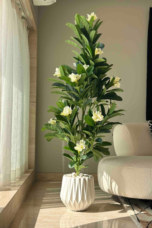 Euroxo Artificial White Frangipani Plant | without pot | Available in 5ft & 6ft